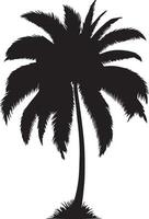 Illustration Set of realistic palm tree vector