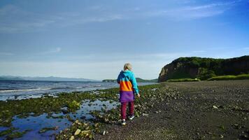Journey To Edge Of Earth, Woman Tourist Strolling Alone On Shore Of Ocean In Northern Countries video