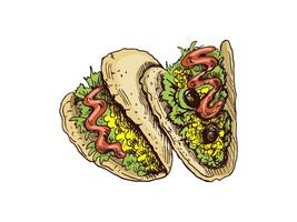 Hand-drawn colored sketch of taco on white background. Fast food vintage illustration. Element for the design of labels, packaging and postcards vector