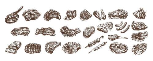 Set of hand-drawn monochrome sketches of different types of meat, steaks, chicken, kebabs, bacon, tenderloin, pork, beef, ham, barbecue. Vintage illustration. vector