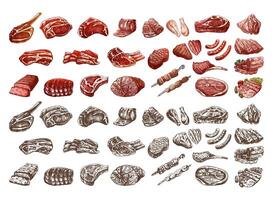 Set of hand-drawn colored and monochrome sketches of different types of meat, steaks, chicken, kebabs, bacon, tenderloin, pork, beef, ham, barbecue. Vintage illustration. vector