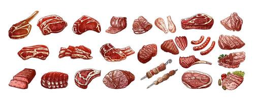 Set of hand-drawn colored sketches of different types of meat, steaks, chicken, kebabs, bacon, tenderloin, pork, beef, ham, barbecue. Vintage illustration. vector