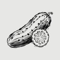 A drawing of a cucumber and a slice of fruit vector