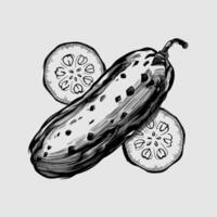 A drawing of a cucumber with slices on it vector