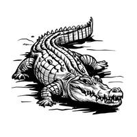 An alligator is shown in black and white vector