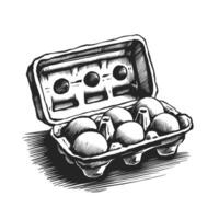 An illustration of eggs in a carton vector