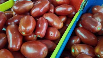 Fresh, ripe Roma tomatoes piled in colorfully lined crates at a market, ideal for summer recipes and Italian cuisine celebrations video