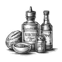 Hand drawn illustration of spices and spices vector