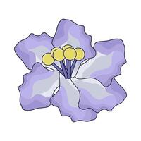 illustration of delphinium flower vector