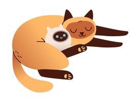 Robot to calm pet. Sleeping cat and robot toy. Sleep gadget. Flat illustration vector