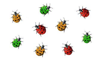 ladybugs are shown in a pattern on a white background vector