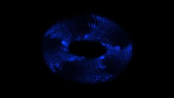 A movable toroid of spiraling blue curved lines. Abstract animation. video