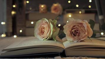 An open book rests on a cozy surface, adorned with soft pink roses and twinkling stars in the background, creating a warm and enchanting atmosphere for a quiet evening. video