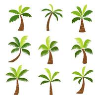 plam tree and coconut tree. summer plant element vector