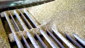 Wheat is unloaded at a flour mill. Unloading wheat grain from grain truck on mill. Wheat is strewing. Unloading of wheat grain. Transportation of grain in a truck to a mill. Truck on mill video