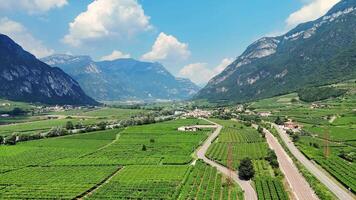 Camera moving forward over beautiful valley with vineyards and mountains video
