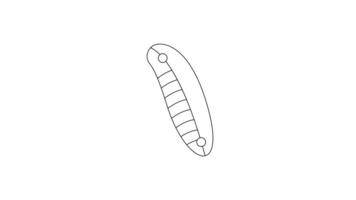 animated pocket knife line art. multifunctional knife line icon motion graphic animation with alpha channel video