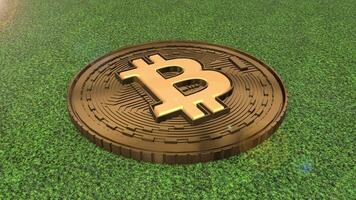 3D Bitcoin Rotating on a Green Background. video