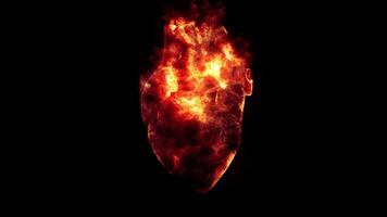 Heart on fire animation. Realistic fire on heart animation. 4k resolution video