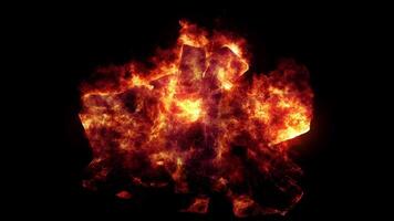 Realistic Fire Animation. Wood Burning on Fire Realistic. video