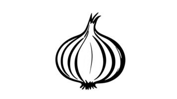 Animation forms a sketch of a garlic icon video