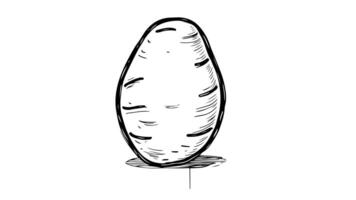 Animation forms a sketch of a potato icon video