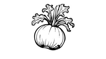 Animation forms a sketch of the Kohlrabi icon video