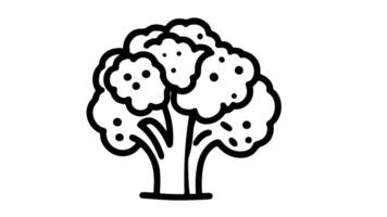 Animation forms a sketch of the broccoli icon video