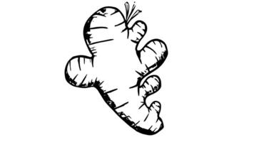 Animation forms a sketch of a ginger icon video