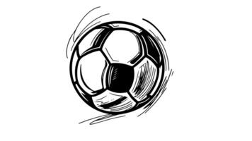 Animation forms a sketch of a soccer ball icon video