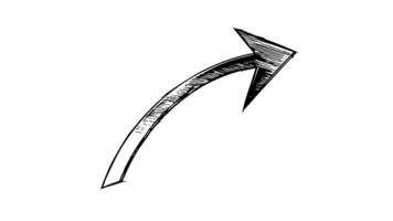 Animation forms a sketch of an arrow line icon video
