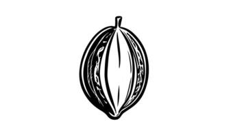Animation forms a sketch of a cocoa fruit icon video