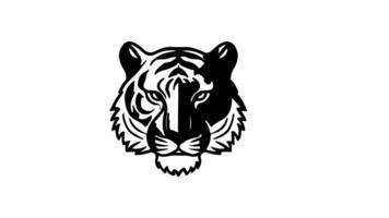 Animation forms a sketch of a tiger icon video