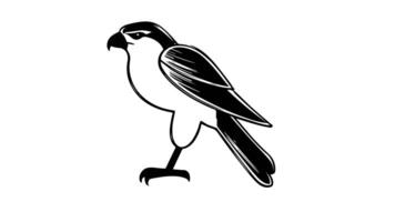 Animation forms a sketch of a falcon bird icon video