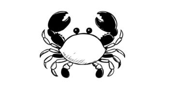 Animation forms a sketch of a crab icon video