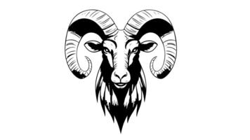 Animation forms a sketch of the Aries zodiac icon video
