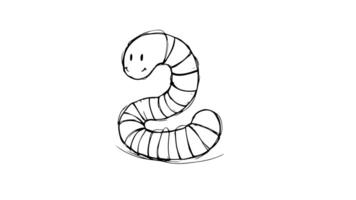 Animation forms a sketch of a worm icon video