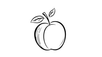Animation forms a sketch of a plum icon video