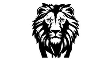 Animation forms a sketch of a lion icon video