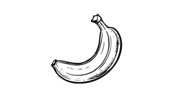 Animation forms a sketch of a banana fruit icon video