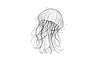 Animation forms a sketch of a jellyfish icon video