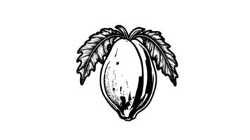Animation forms a sketch of a papaya fruit icon video