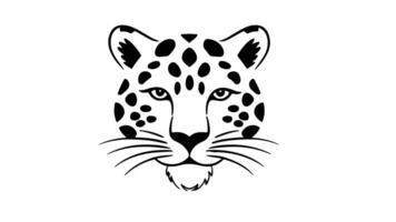 Animation forms a sketch of a leopard icon video