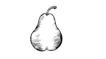 Animation forms a sketch of a pear icon video