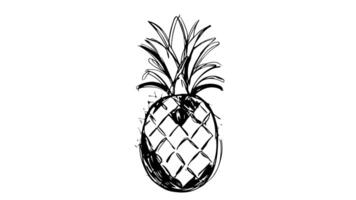 Animation forms a sketch of a pineapple icon video
