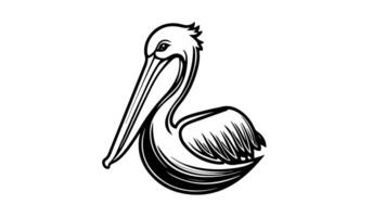 Animation forms a sketch of a pelican icon video