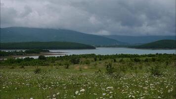 daisy flowers in a green field with lake and mountains on background, early spring scenery in nature, time laps, thought as background for advertising, medicine or lifestyle themes video