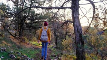 hiking asian woman walk in autumn forest. enjoys the beauty of nature. Hiking, hobby, relaxation, recreation time. Having a break. video