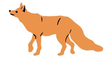 Cute Walking Fox Illustration Isolated on White Background vector