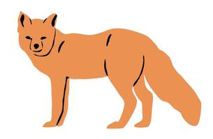 Cute Cartoon Standing Red Fox While Hunting Icon and Illustration Isolated on White Background vector